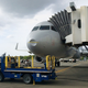 Imagen para el artículo titulado Qué pasa realmente cuando un pájaro impacta contra un avión